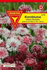 Kornblume Classic Romantic wei-rot Frankonia Samen