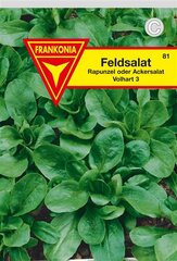 Feldsalat dunkelgrner vollherziger Frankonia Samen